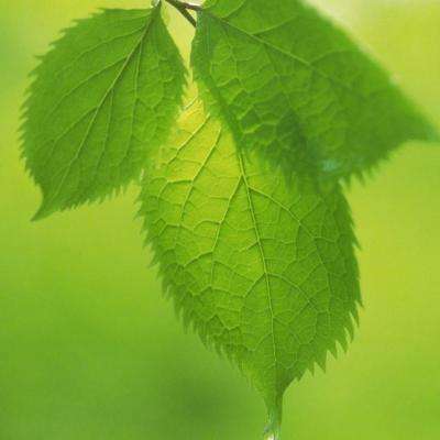 乐虎国际下载手机版