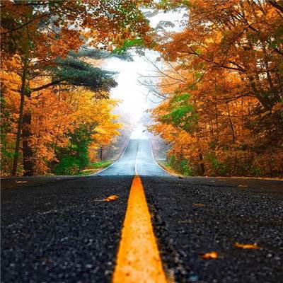 管家婆一码一肖资料大全下载手机版