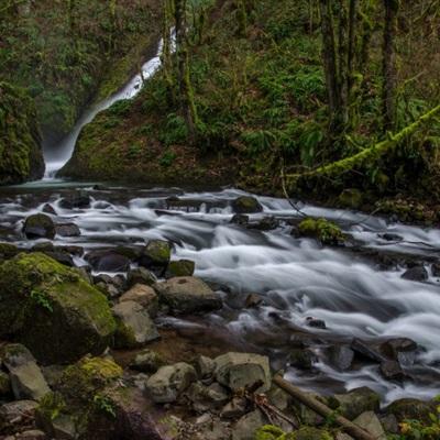 星空体育2024下载下载手机版